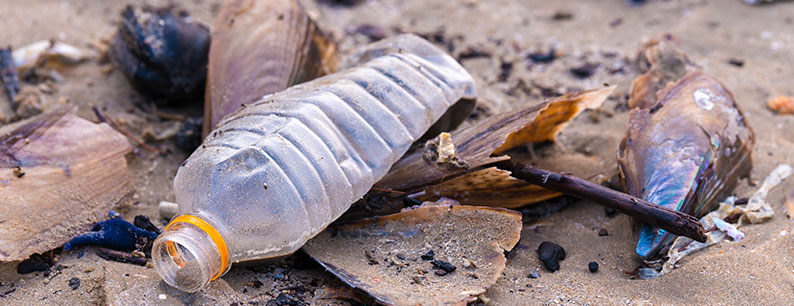 Come ridurre l'inquinamento da bottiglie di plastica