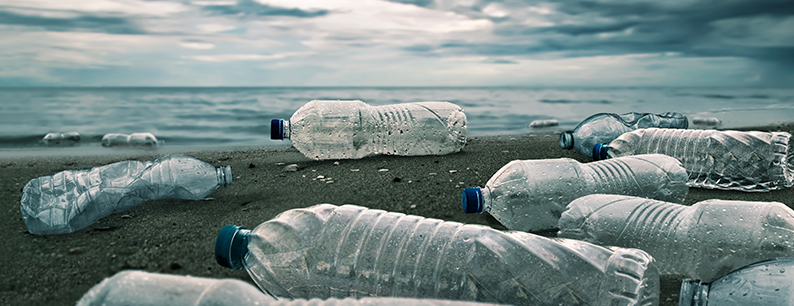 L'inquinamento dell'ambiente