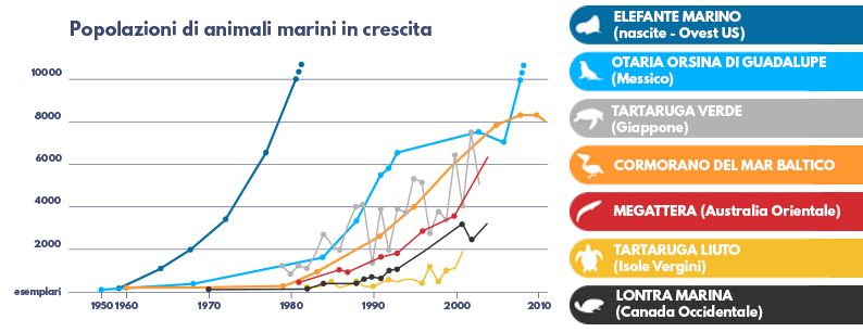 Riqualificare i mari permette la ricrescita della popolazione di animali marini marina