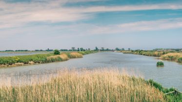 Cuneo salino, la rilsalita dell'acqua di mare