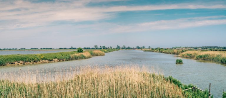 Cuneo salino, la rilsalita dell'acqua di mare