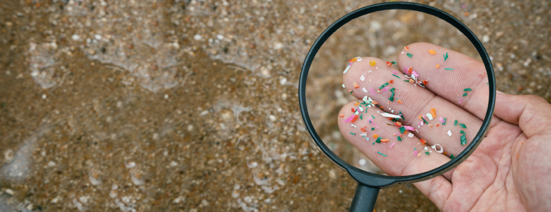 microplastiche nel corpo umano