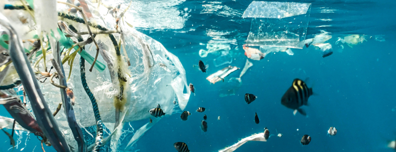 Inquinamento plastico in mare