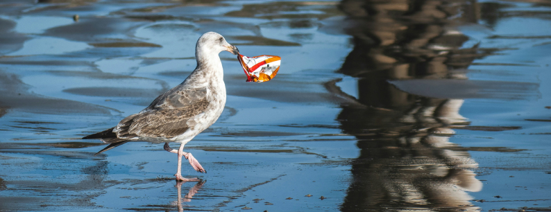 Trattato globale sulla plastica